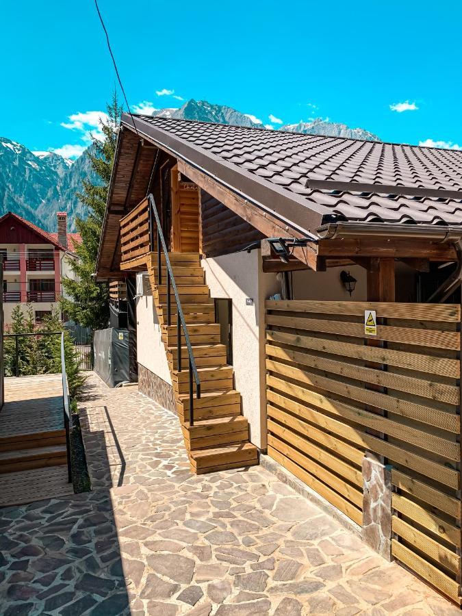 Moon Montana Buşteni Eksteriør billede