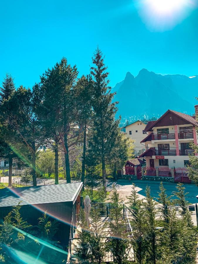 Moon Montana Buşteni Eksteriør billede