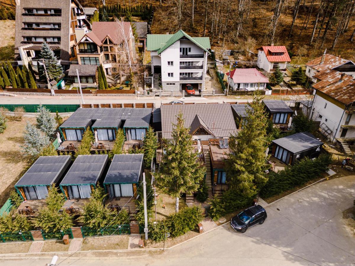 Moon Montana Buşteni Eksteriør billede